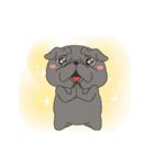 Black Pug 3（個別スタンプ：23）