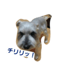 オレオ（個別スタンプ：6）