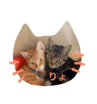 yokoy's family（個別スタンプ：9）