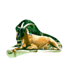 animal*lalala（個別スタンプ：3）