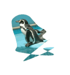 animal*lalala（個別スタンプ：4）