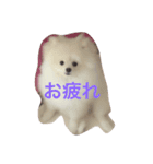 しじみさん♡（個別スタンプ：4）