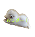 しじみさん♡（個別スタンプ：5）