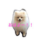 しじみさん♡（個別スタンプ：6）