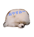 しじみさん♡（個別スタンプ：7）