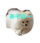 しじみさん♡（個別スタンプ：8）