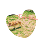 ちゃあ子（個別スタンプ：7）