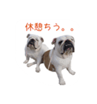 ぶるぶる日和2（個別スタンプ：3）