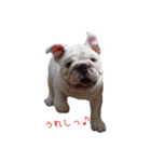 ぶるぶる日和2（個別スタンプ：9）