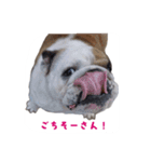 ぶるぶる日和2（個別スタンプ：11）