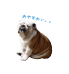 ぶるぶる日和2（個別スタンプ：13）