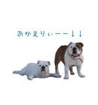 ぶるぶる日和2（個別スタンプ：14）