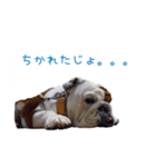 ぶるぶる日和2（個別スタンプ：15）
