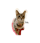 猫姉妹1（個別スタンプ：4）