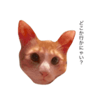 大山家の猫たち（個別スタンプ：26）