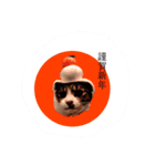 大山家の猫たち（個別スタンプ：32）