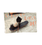 黒ポメ晴琉さん（個別スタンプ：8）
