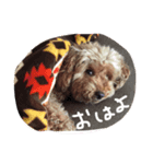 愛娘犬ぷぅ（個別スタンプ：2）