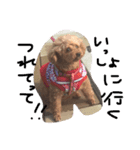 愛娘犬ぷぅ（個別スタンプ：6）