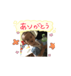 ハラペコゆあ（個別スタンプ：1）