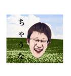 亀さん（個別スタンプ：2）