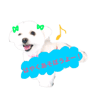 ティアラの日常♩（個別スタンプ：3）