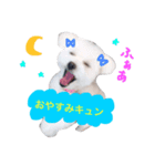ティアラの日常♩（個別スタンプ：6）