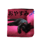 やまとが気持ちを伝えます④。（個別スタンプ：17）