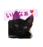 やまとが気持ちを伝えます④。（個別スタンプ：24）