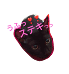やまとが気持ちを伝えます④。（個別スタンプ：27）