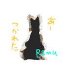 しーちゃんちのわんこ（個別スタンプ：1）