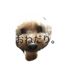 モカモカモカモカモカモカ（個別スタンプ：8）