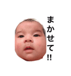 しぃしスタンプです（個別スタンプ：17）