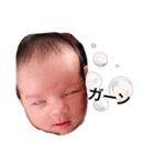 しぃしスタンプです（個別スタンプ：21）
