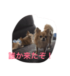 空ちゃんのスタンプ（個別スタンプ：2）