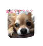 空ちゃんのスタンプ（個別スタンプ：6）
