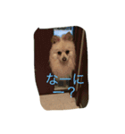 Kaihara.family（個別スタンプ：2）