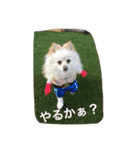 Kaihara.family（個別スタンプ：9）