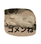 Kaihara.family（個別スタンプ：14）
