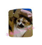 Kaihara.family（個別スタンプ：15）