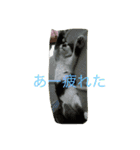Kaihara.family（個別スタンプ：16）