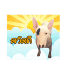 KhunGruak（個別スタンプ：1）