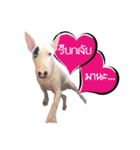 KhunGruak（個別スタンプ：8）