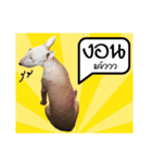 KhunGruak（個別スタンプ：10）