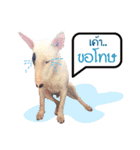 KhunGruak（個別スタンプ：12）