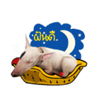 KhunGruak（個別スタンプ：15）