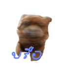 Mommam The dog（個別スタンプ：3）