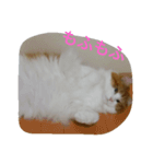 jeankun 2（個別スタンプ：1）