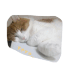 jeankun 2（個別スタンプ：2）