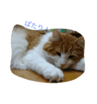 jeankun 2（個別スタンプ：3）